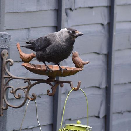 The Gem Bed & Breakfast Winchelsea Exterior foto