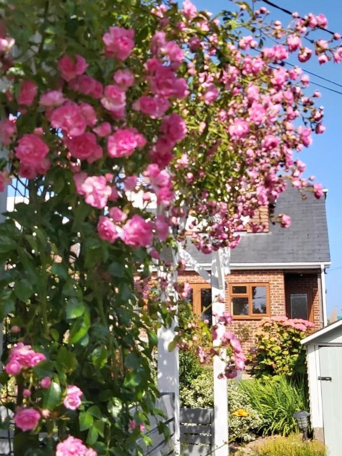 The Gem Bed & Breakfast Winchelsea Exterior foto